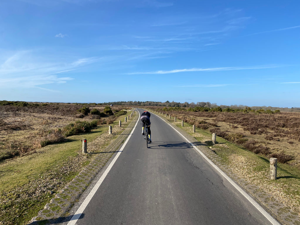 A Loop Around The New Forest with Lucy Gadd