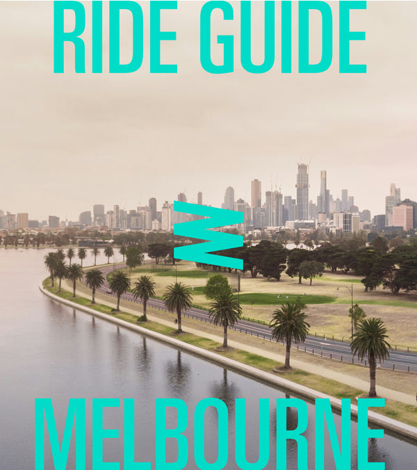 Palm tree lined road with a river alongside and city skyline behind