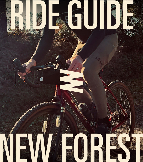 Cyclist on a gravel path lined with ferns