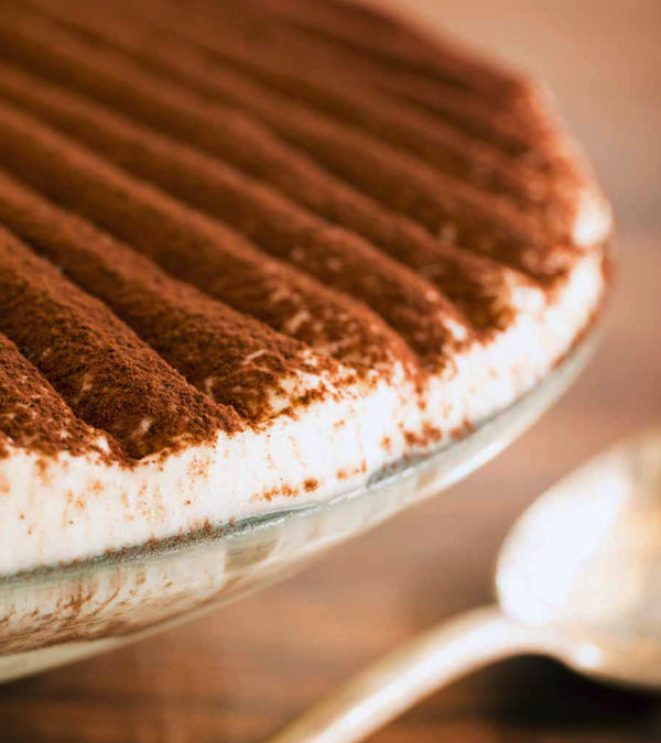 Close up of tiramisu, cocoa sprinkled mascarpone topping.