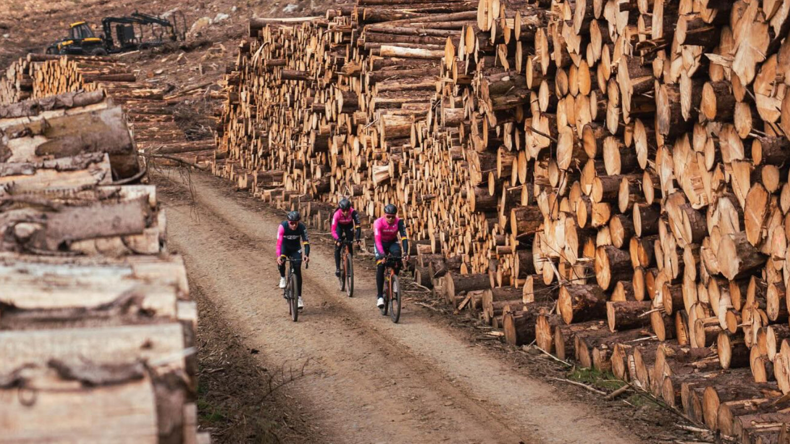 Three Ribble cyclists ride through a logging area, with tall stacks of cut logs lining both sides of the path.