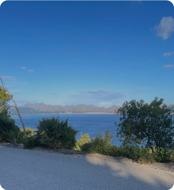 Hilltop view across the bay over trees