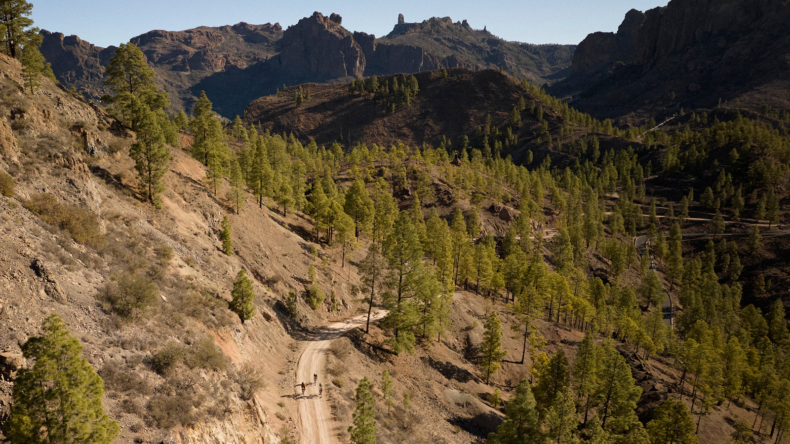 Landscape shot of dusty mountain slopes dotted with trees.