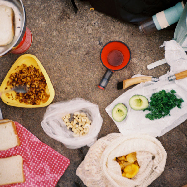 Iselin's typical picnic to bring on a bike ride: avocado, fruit, nuts and sandwishes.