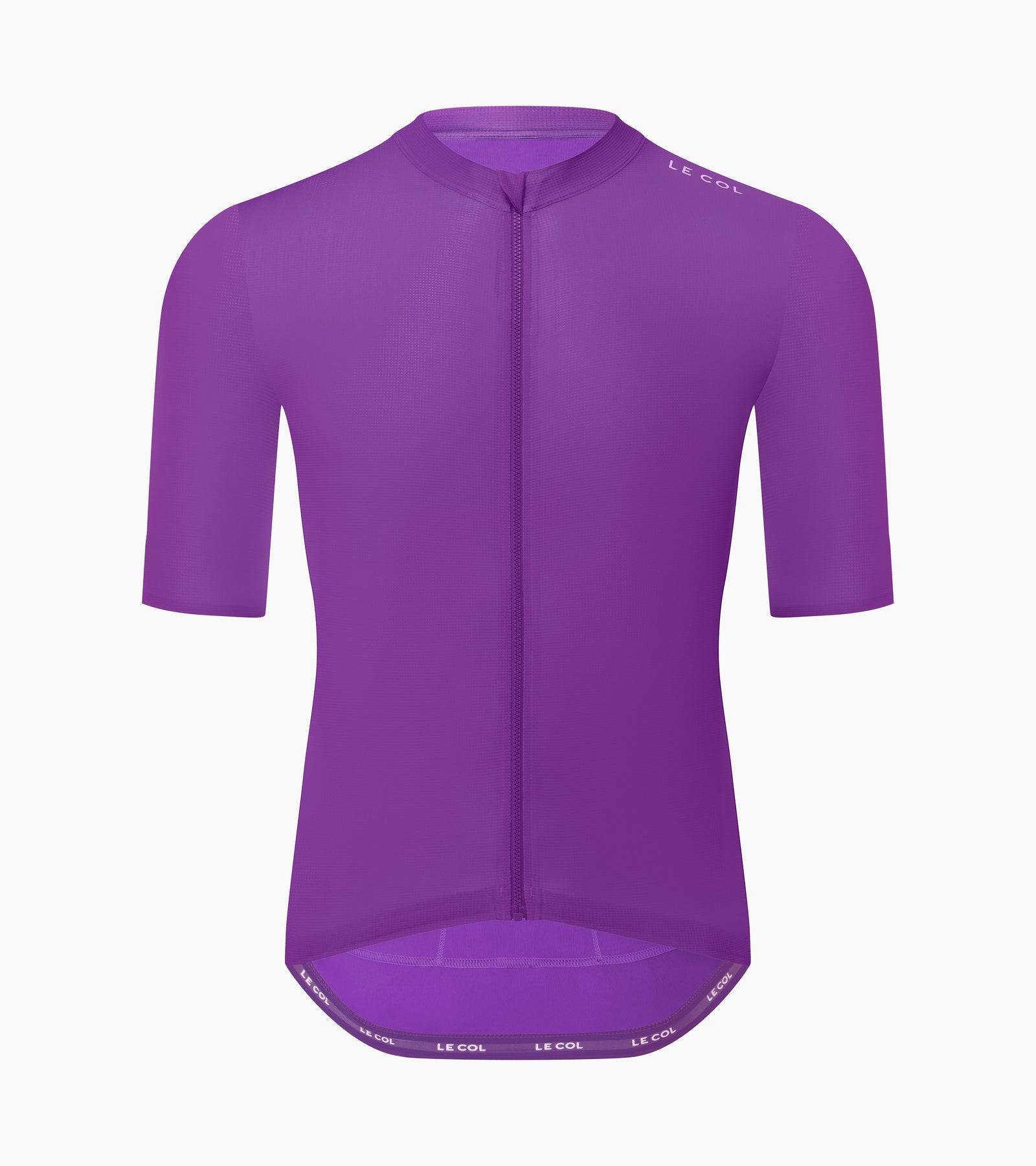 Verbena Purple