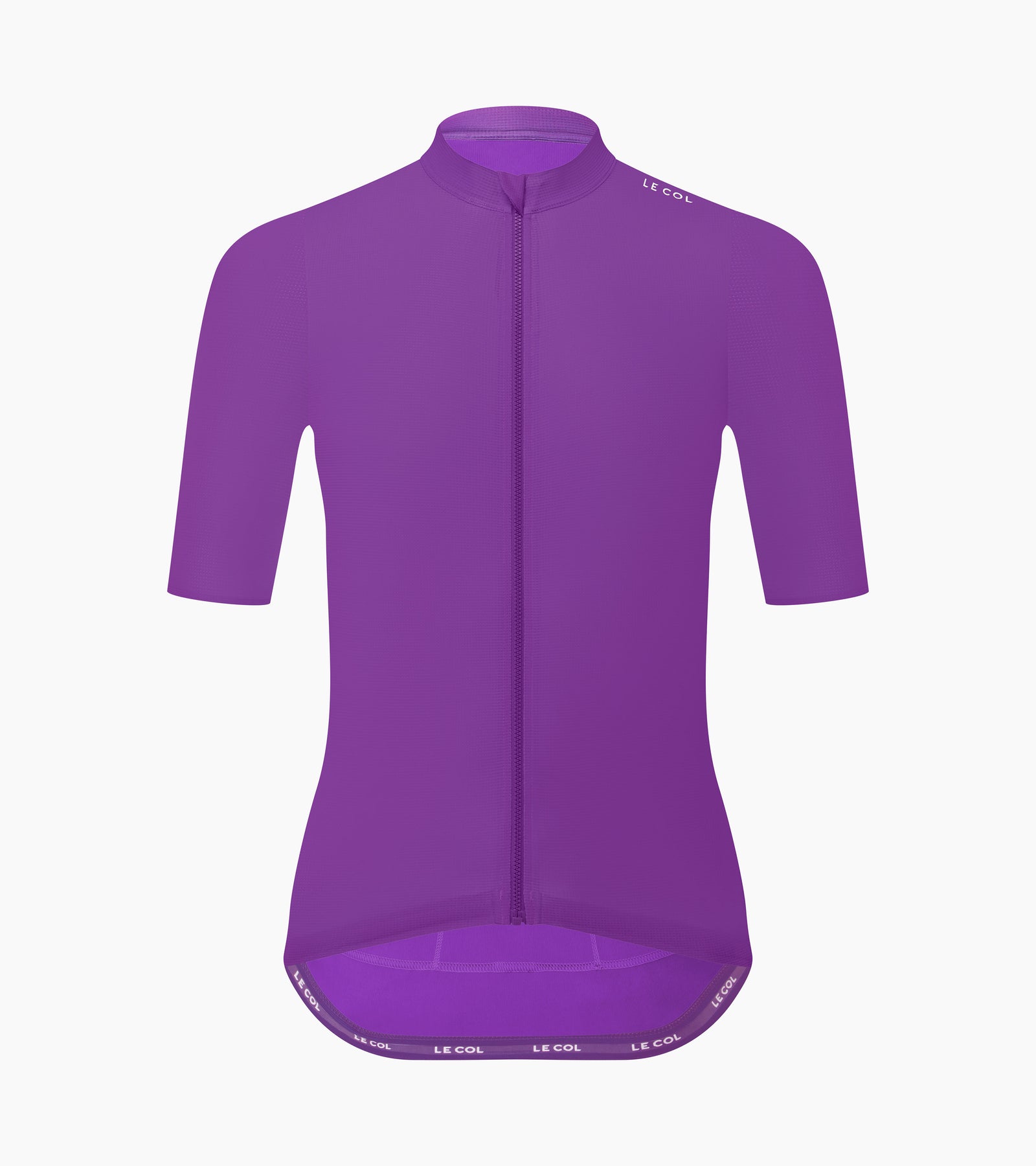 Verbena Purple
