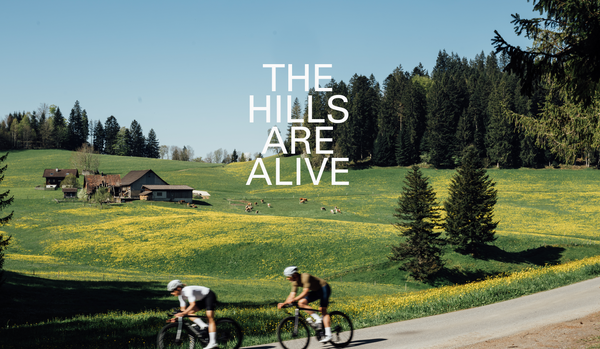 The hills are alive. landscape of a farmstead, meadowlands surrounding bordered by pine trees.