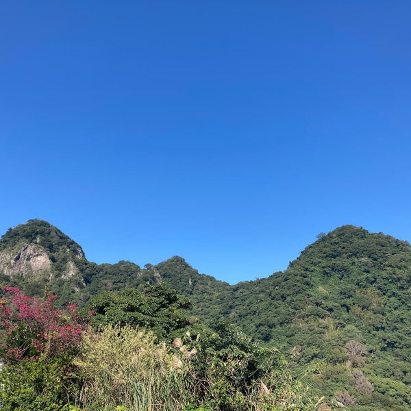 Three tree covered hill peaks against a clear blue sky.